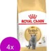 Royal Canin Fbn British Shorthair – Kattenvoer – 4 X 4 Kg -Pet Verkoop 960x1200 2