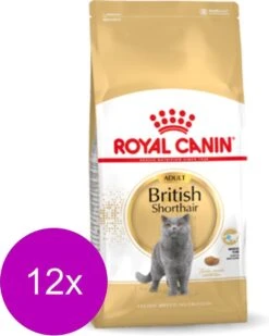 Royal Canin Fbn British Shorthair – Kattenvoer – 12 X 400 G