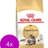 Royal Canin Fbn Mainecoon Adult – Kattenvoer – 4 X 4 Kg -Pet Verkoop 966x1200