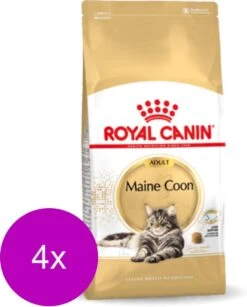 Royal Canin Fbn Mainecoon Adult – Kattenvoer – 4 X 4 Kg