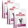 Royal Canin Veterinary Diet Renal – Kattenvoer – 3 X 2 Kg 1 Royal Canin Veterinary Diet Renal – Kattenvoer – 3 X 2 Kg -Pet Verkoop 979x1200