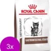 Royal Canin Veterinary Diet Gastro Intestinal Kitten – Kattenvoer – 3 X 2 Kg -Pet Verkoop 982x1200