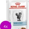 Royal Canin Veterinary Diet Skin & Coat Wet – Kattenvoer – 4 X 12 X 85 G 2 Royal Canin Veterinary Diet Skin & Coat Wet – Kattenvoer – 4 X 12 X 85 G -Pet Verkoop 984x1200