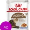 Royal Canin Ageing +12 In Jelly – Kattenvoer – 4 X 12×85 G -Pet Verkoop 996x1200