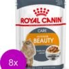 Royal Canin Fhn Adult Intense Beauty Mp Pouch – Kattenvoer – 8 X 12×85 G -Pet Verkoop 999x1200 2
