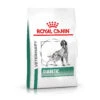 7kg Veterinary Diet Diabetic Royal Canin Veterinary Diet Hondenvoer -Pet Verkoop rc vet dry dogdiabetic mv eretailkit de de 6
